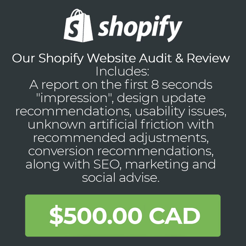 Shopify expert website audit and review